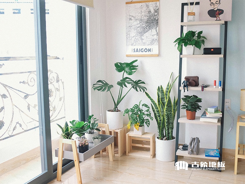 強(qiáng)化地板