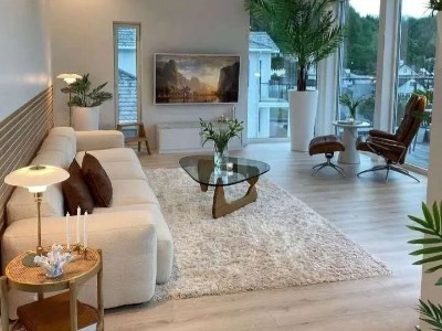 復(fù)式單身公寓+木地板