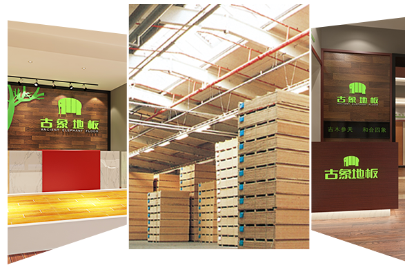 自有工廠，創(chuàng)新研發(fā)