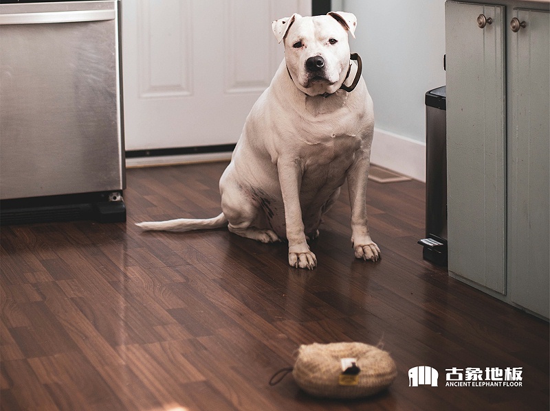 強(qiáng)化地板耐磨轉(zhuǎn)數(shù)