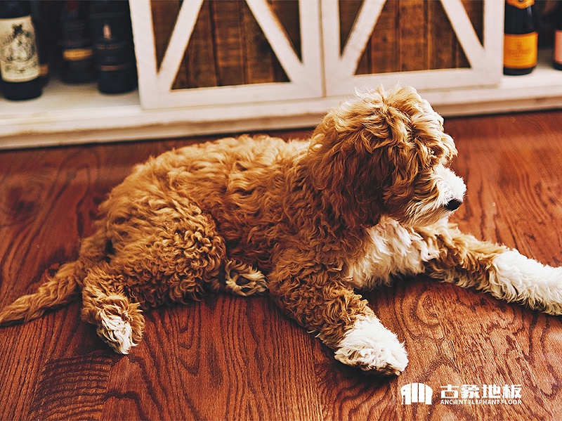 實(shí)木地板選擇